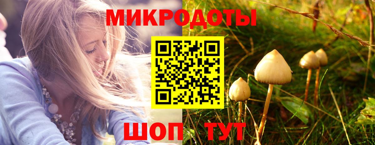 где купить   Вход с VPN  Кострома  Галлюциногенные грибы GOLDEN TEACHER 